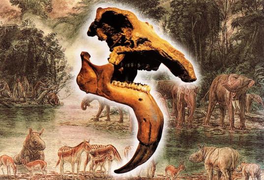 Dinotherium Giganteum